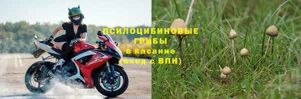 ПСИЛОЦИБИНОВЫЕ ГРИБЫ Волоколамск