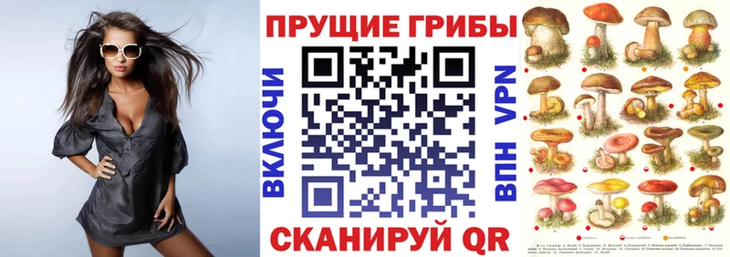 как найти закладки  Петров Вал  Псилоцибиновые грибы мухоморы 